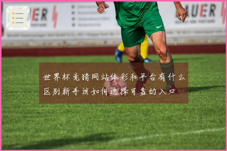 世界杯竞猜网站体彩和平台有什么区别新手该如何选择可靠的入口