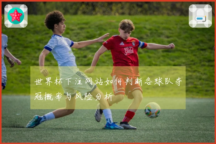 世界杯下注网站如何判断各球队夺冠概率与风险分析