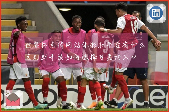 世界杯竞猜网站体彩和平台有什么区别新手该如何选择可靠的入口
