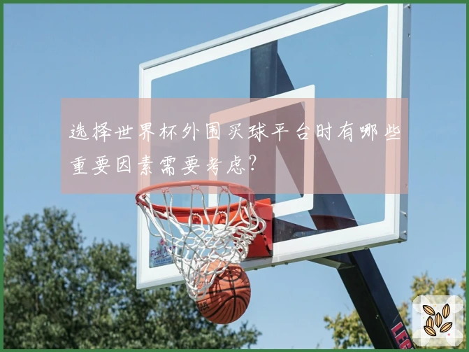 选择世界杯外围买球平台时有哪些重要因素需要考虑？